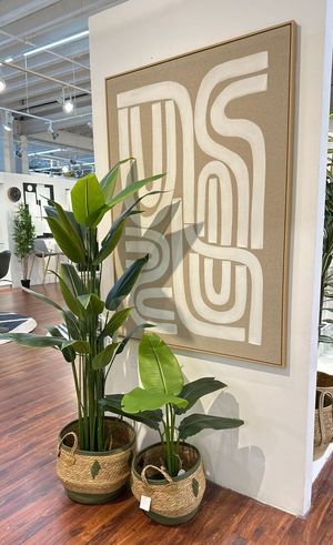 PLANTA C/POTE - 592-460078