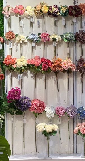 Hydrangea - 420-5910051
