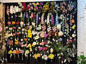 EUCALYPTUS SINGLE STEM22 LVS - 456-503649