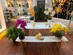 NIÑO DECOR 14X10X22CM - 445-7920082