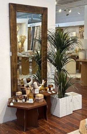 DRACAENA COM POTE - 592-460058