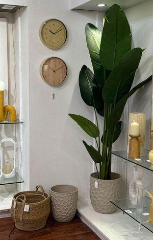 BIRD OF PARADISE - 592-312379