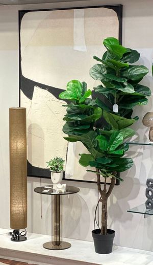 PLANTA/VASO X75X175 CM - 592-143544