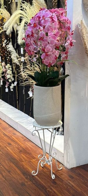 orchid bonsai - 592-510090
