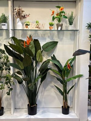 PLANTAS DECOR 10.5X10.5X38CM - 592-370827