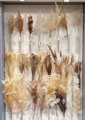 REEDS DCOR - 420-593641