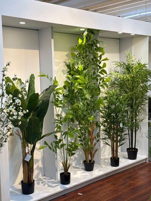 BANANA C/ POTE - 592-460160