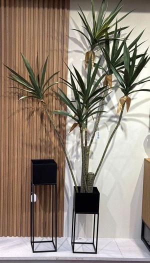 PALMA YUCA C/POTE - 592-460143