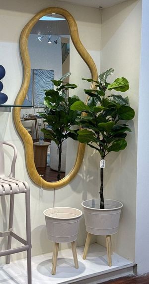 moundlily - 592-460182