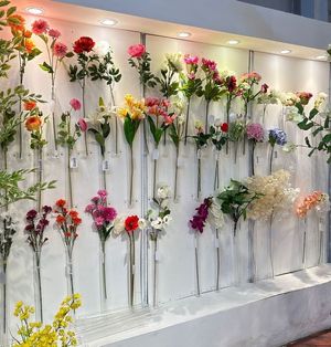 7 PHALAENOPSIS - 592-480401