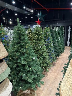 210CM . 997 TIPS. .JERSEY FRASER FIR TREE SLIM. WO/ LIGHTS - 110-1400193