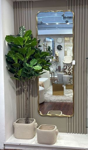 FICUS LIRATA C/POTE - 592-400223