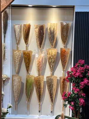 DRIED PLANTS BUNCH - 592-500014