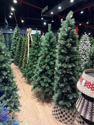 ARBOL 10FT 3050 TIPS 120X120X3 - 110-0400166