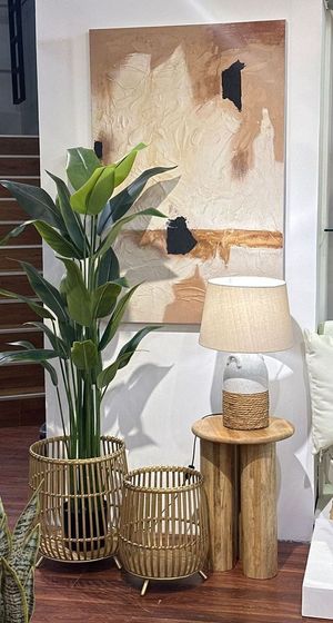 PLANTA C/POTE - 592-460078