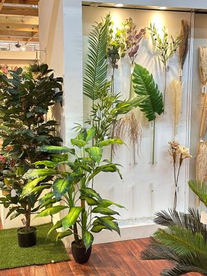 DRIED PLANTS BUNCH - 592-500014
