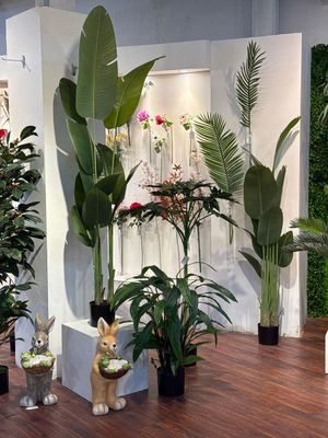 90cm Calathea - 592-312128