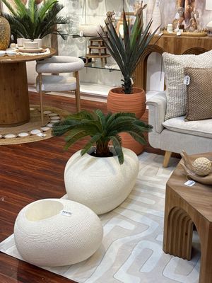PLANTA DE AGAVE 60X90X90CM - 592-460195
