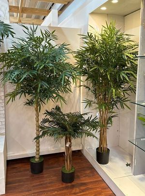 180cm Buhdda bamboo with pot - 592-312301