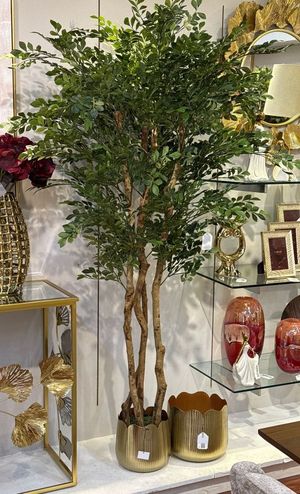 VASO MURRAYA C/ 48X48X180 CM - 592-312401