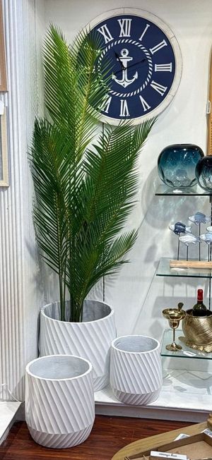 ARECA C/ COM VASO 90X180X180CM - 592-460123