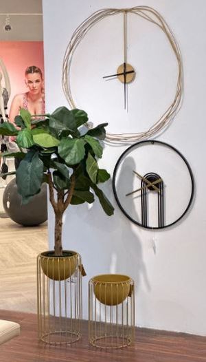 PLANTA C/POTE - 592-312215