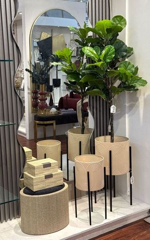 moundlily - 592-460182