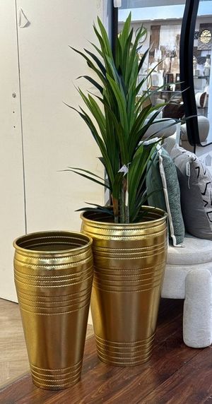 moundlily - 592-460169