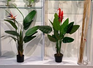 120cm Real touch strelitzia x2 & 12 lvs with flower in pot - 592-143391