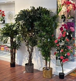 PALMERA CON POTE 48X48X150CM - 592-312340