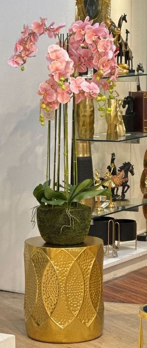 ORQUIDEA DECOR - 592-510001