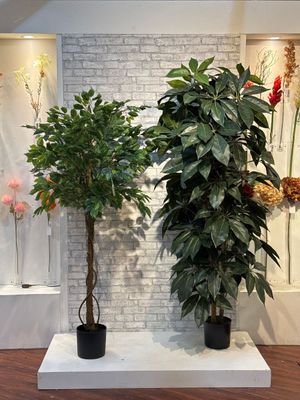 592-312235 - 592-312235