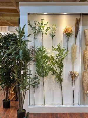 DRIED PLANTS BUNCH - 592-500014