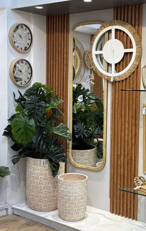 130cm Monstera x2 with pot - 592-312253