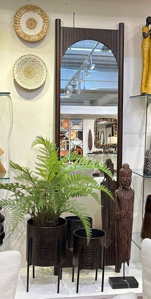 PLANTA C/POTE - 592-460065