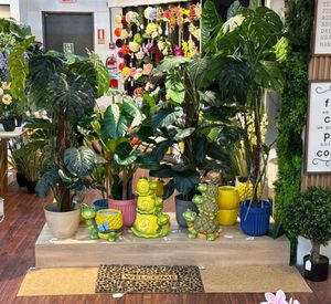 Monstera plant - 592-312326