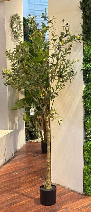 OLIVEIRA C/ VASO 180X90X180CM - 592-460124
