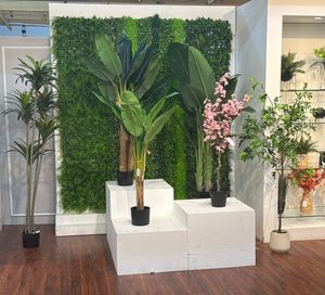 AGAVE C/POTE - 592-460157