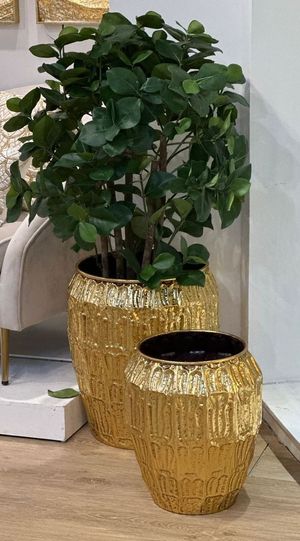 ARBOL C/POTE - 592-312231