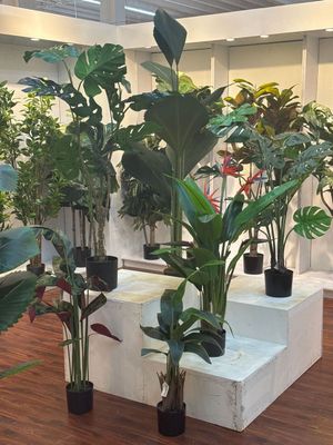 PLANTA C/MACETA - 592-460106