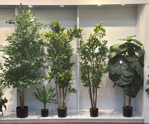 moundlily - 592-460172