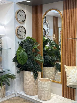 130cm Monstera x2 with pot - 592-312253