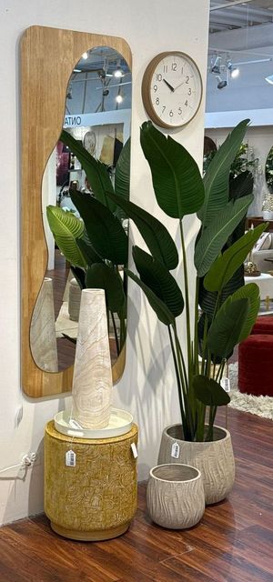 BIRD OF PARADISE - 592-312378