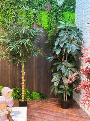 180cm Buhdda bamboo with pot - 592-312301