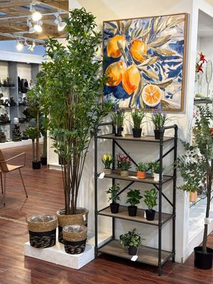 PLANTA ART C/POTE - 592-143167