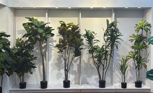 PLANTA C/POTE - 592-312217