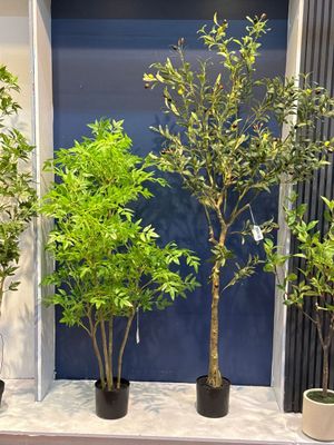 OLIVEIRA C/ VASO 180X90X180CM - 592-460124
