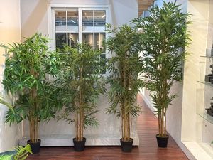 BAMBU COM PANELA - 592-311523