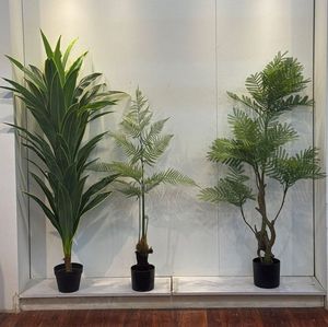 Jacaranda c/pote - 592-1434496