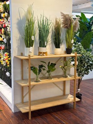 PLANTA C/POTE - 456-503153